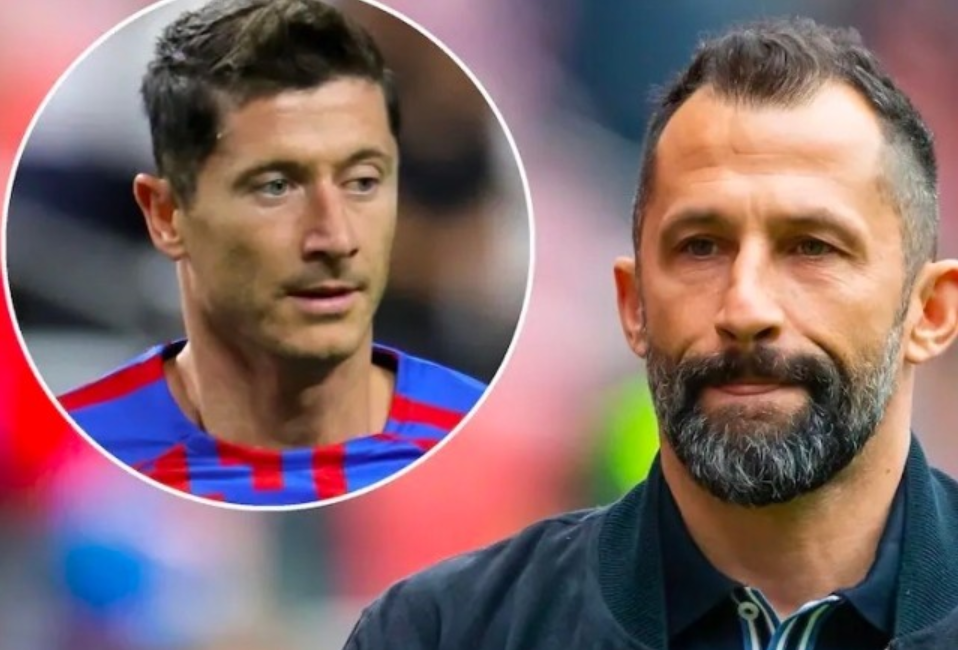 使得德国队 使得德国队